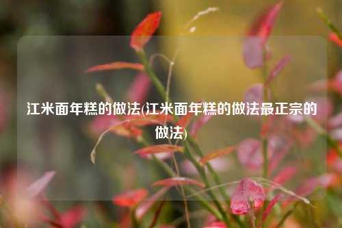 江米面年糕的做法(江米面年糕的做法最正宗的做法)