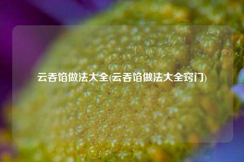云吞馅做法大全(云吞馅做法大全窍门)