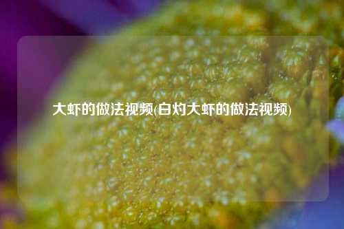 大虾的做法视频(白灼大虾的做法视频)