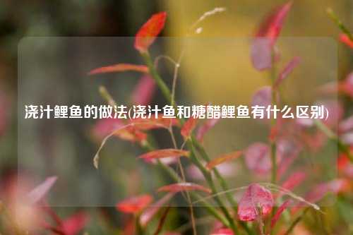浇汁鲤鱼的做法(浇汁鱼和糖醋鲤鱼有什么区别)
