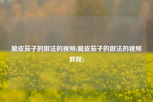 脆皮茄子的做法的视频(脆皮茄子的做法的视频教程)