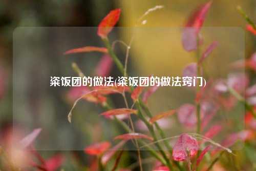 粢饭团的做法(粢饭团的做法窍门)