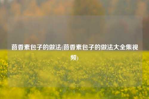 茴香素包子的做法(茴香素包子的做法大全集视频)