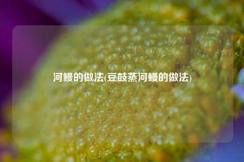 河鳗的做法(豆鼓蒸河鳗的做法)