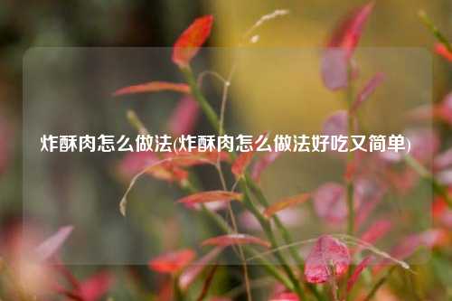 炸酥肉怎么做法(炸酥肉怎么做法好吃又简单)