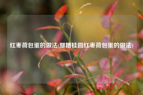 红枣荷包蛋的做法(醪糟桂圆红枣荷包蛋的做法)