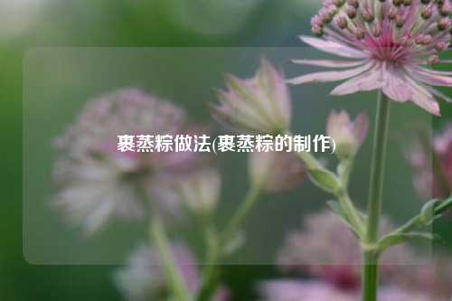 裹蒸粽做法(裹蒸粽的制作)
