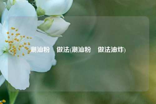 潮汕粉粿做法(潮汕粉粿做法油炸)