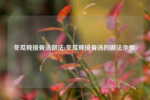 冬瓜炖排骨汤做法(冬瓜炖排骨汤的做法步骤)