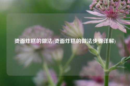 烫面炸糕的做法(烫面炸糕的做法步骤详解)